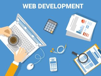 professional websites